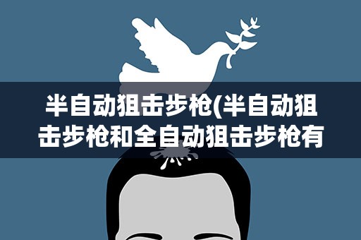 半自动狙击步枪(半自动狙击步枪和全自动狙击步枪有什么区别吗)
