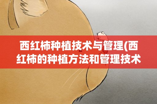 西红柿种植技术与管理(西红柿的种植方法和管理技术)