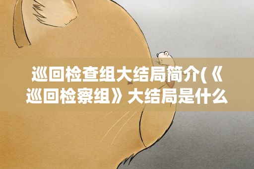 巡回检查组大结局简介(《巡回检察组》大结局是什么)