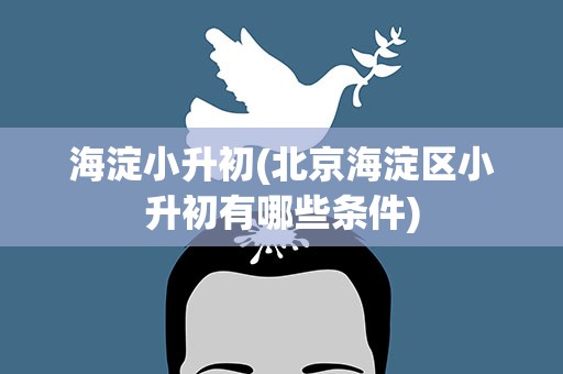 海淀小升初(北京海淀区小升初有哪些条件)