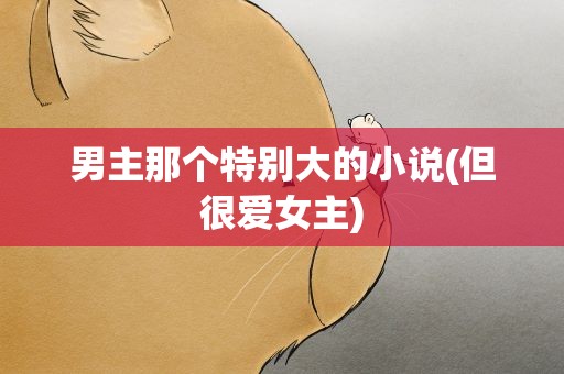 男主那个特别大的小说(但很爱女主)
