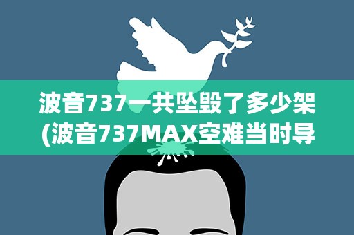 波音737一共坠毁了多少架(波音737MAX空难当时导致了多少人员伤亡)