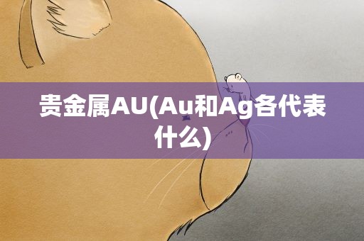 贵金属AU(Au和Ag各代表什么)