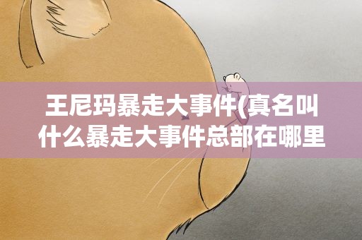 王尼玛暴走大事件(真名叫什么暴走大事件总部在哪里)
