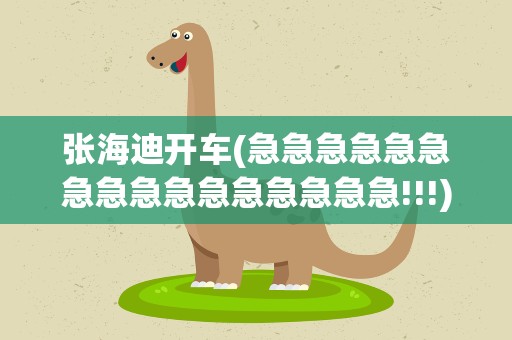 张海迪开车(急急急急急急急急急急急急急急急急!!!)