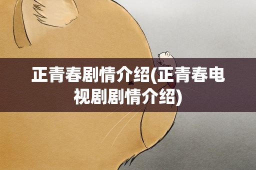正青春剧情介绍(正青春电视剧剧情介绍)