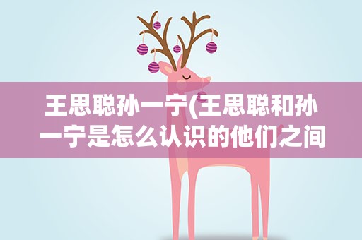 王思聪孙一宁(王思聪和孙一宁是怎么认识的他们之间发生了什么)