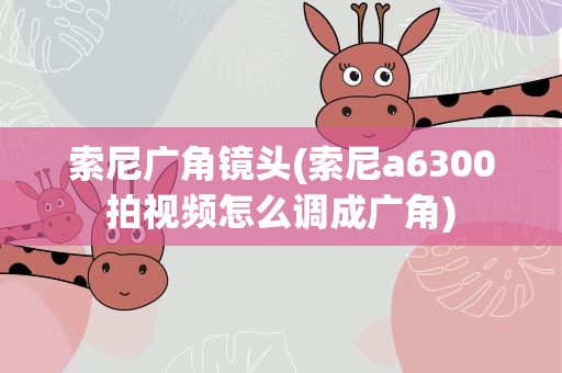 索尼广角镜头(索尼a6300拍视频怎么调成广角)