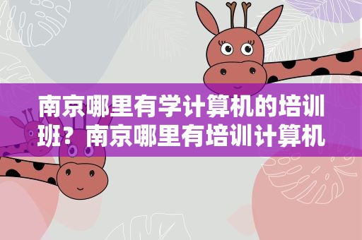 南京哪里有学计算机的培训班？南京哪里有培训计算机课的