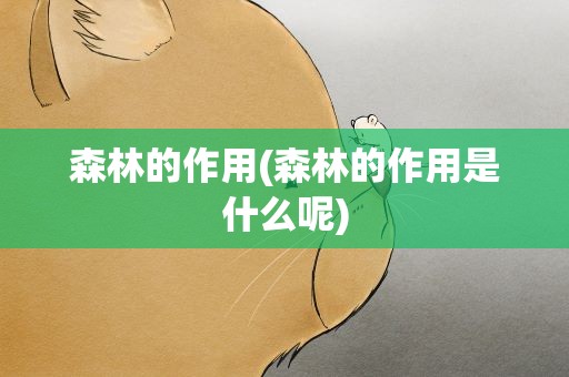 森林的作用(森林的作用是什么呢)