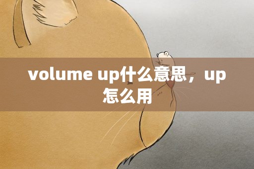 volume up什么意思，up怎么用