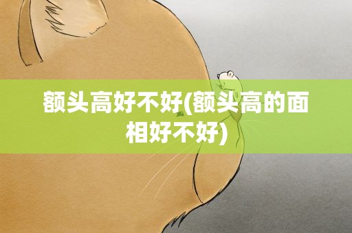 额头高好不好(额头高的面相好不好)