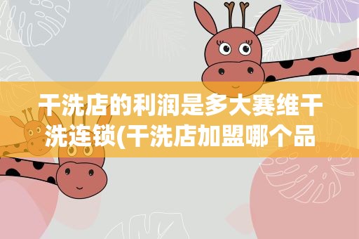 干洗店的利润是多大赛维干洗连锁(干洗店加盟哪个品牌比较好)