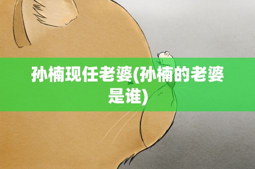 孙楠现任老婆(孙楠的老婆是谁)