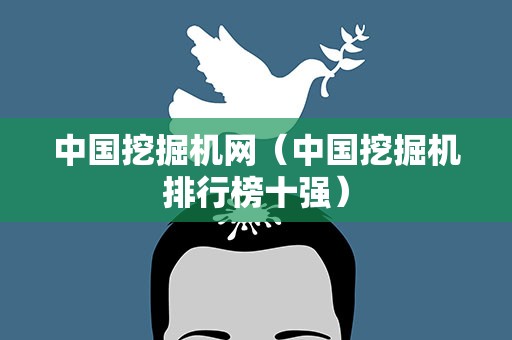中国挖掘机网（中国挖掘机排行榜十强）