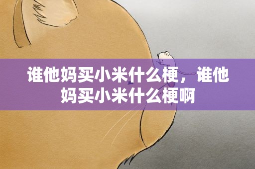 谁他妈买小米什么梗，谁他妈买小米什么梗啊