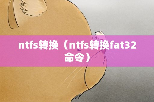 ntfs转换（ntfs转换fat32命令）