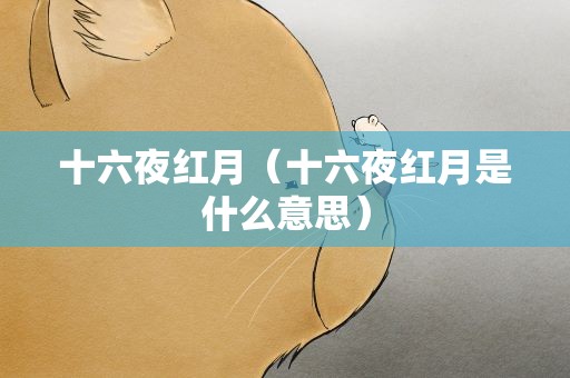 十六夜红月（十六夜红月是什么意思）
