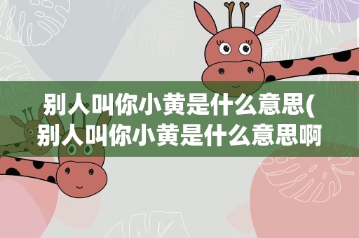 别人叫你小黄是什么意思(别人叫你小黄是什么意思啊)