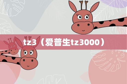 tz3（爱普生tz3000）