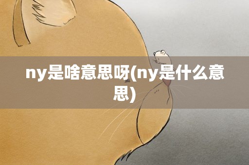 ny是啥意思呀(ny是什么意思)