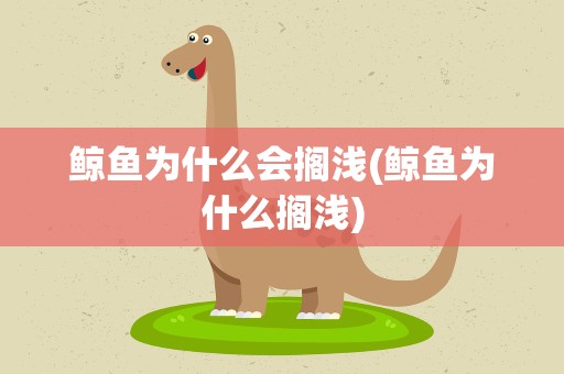 鲸鱼为什么会搁浅(鲸鱼为什么搁浅)