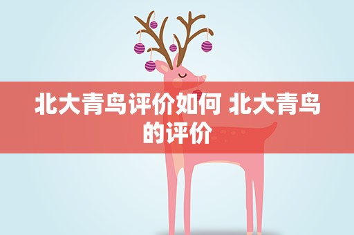 北大青鸟评价如何 北大青鸟的评价