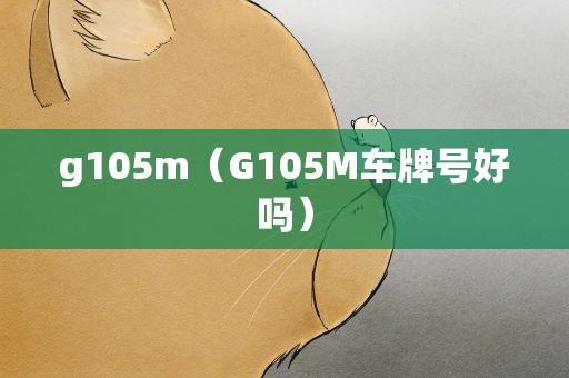 g105m（G105M车牌号好吗）