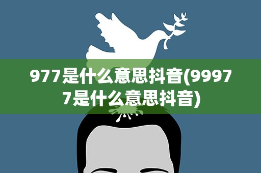 977是什么意思抖音(99977是什么意思抖音)