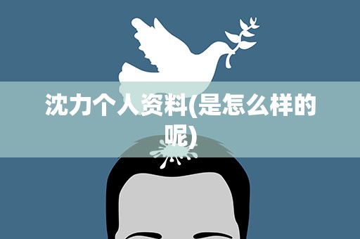 沈力个人资料(是怎么样的呢)