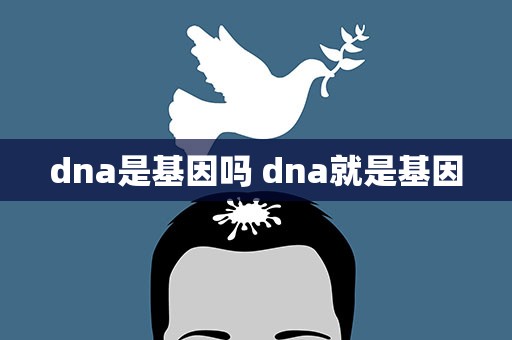 dna是基因吗 dna就是基因