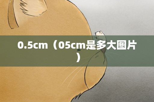 0.5cm（05cm是多大图片）