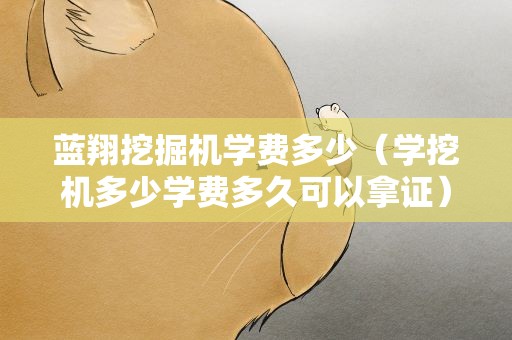 蓝翔挖掘机学费多少（学挖机多少学费多久可以拿证）