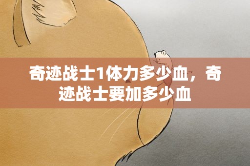 奇迹战士1体力多少血，奇迹战士要加多少血
