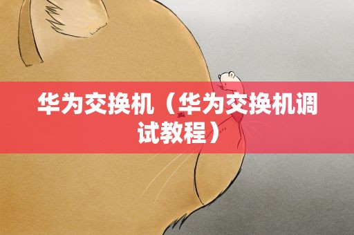 华为交换机（华为交换机调试教程）