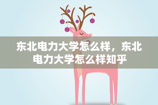 东北电力大学怎么样，东北电力大学怎么样知乎