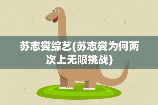 苏志燮综艺(苏志燮为何两次上无限挑战)
