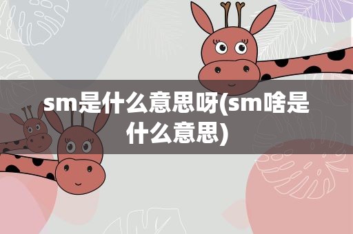 sm是什么意思呀(sm啥是什么意思)