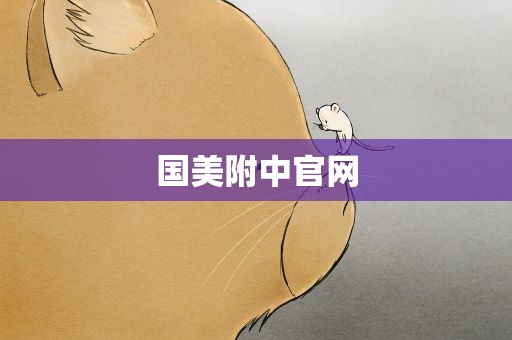 国美附中官网