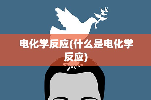 电化学反应(什么是电化学反应)