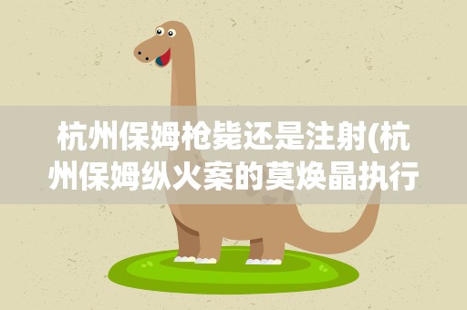 杭州保姆枪毙还是注射(杭州保姆纵火案的莫焕晶执行死刑的方式是枪毙还是注射)