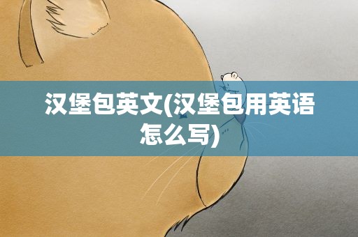 汉堡包英文(汉堡包用英语怎么写)