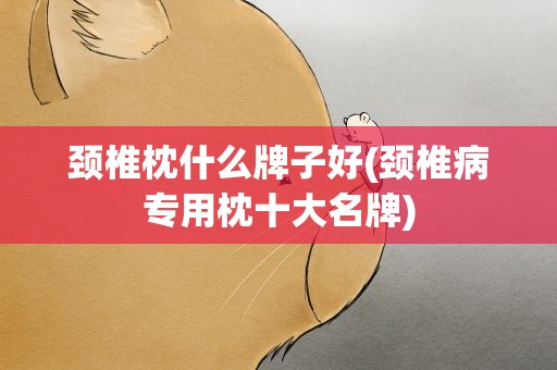 颈椎枕什么牌子好(颈椎病专用枕十大名牌)