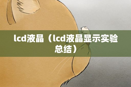 lcd液晶（lcd液晶显示实验总结）