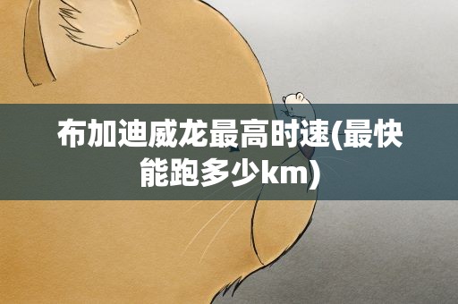 布加迪威龙最高时速(最快能跑多少km)