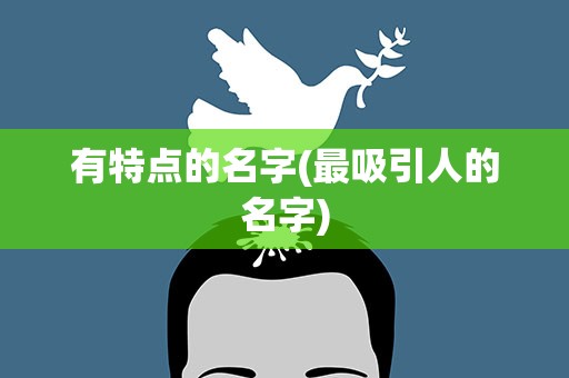 有特点的名字(最吸引人的名字)