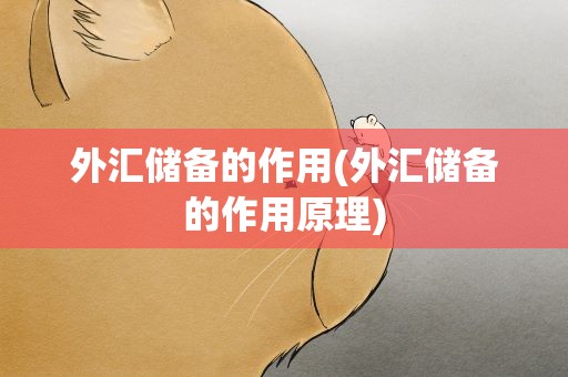 外汇储备的作用(外汇储备的作用原理)