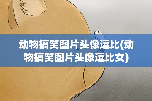 动物搞笑图片头像逗比(动物搞笑图片头像逗比女)