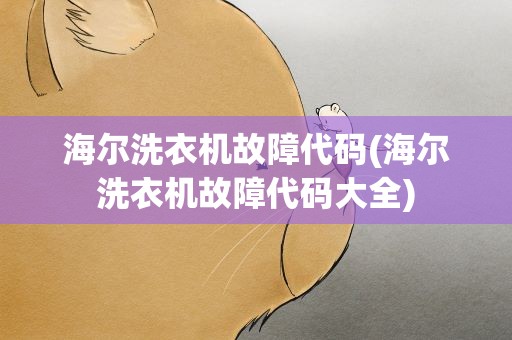 海尔洗衣机故障代码(海尔洗衣机故障代码大全)