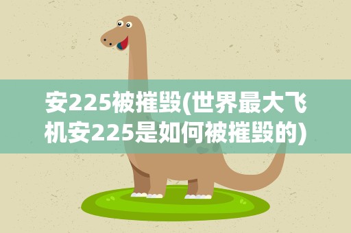 安225被摧毁(世界最大飞机安225是如何被摧毁的)
